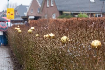 Bild 149 - Latuff 2017